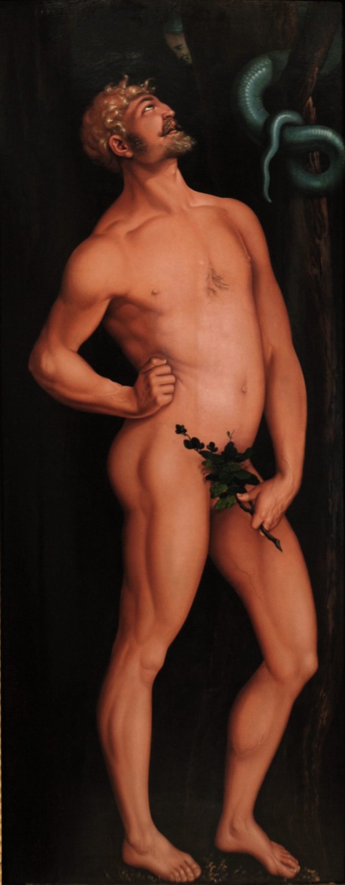 Hans Baldung Grien: Ádám 